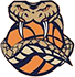 Логотип баскетбольного клуба Cairns Taipans